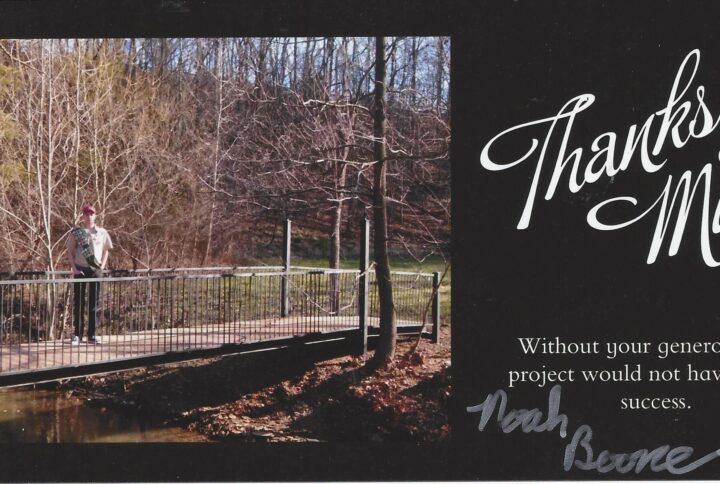 Ipe Bridge Eagle Scout Project