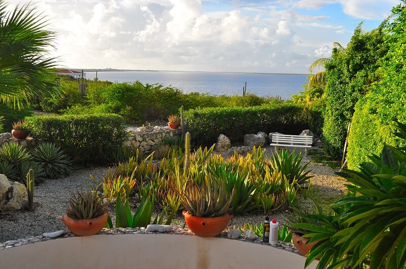 From the ipe deck looking toward the horizon