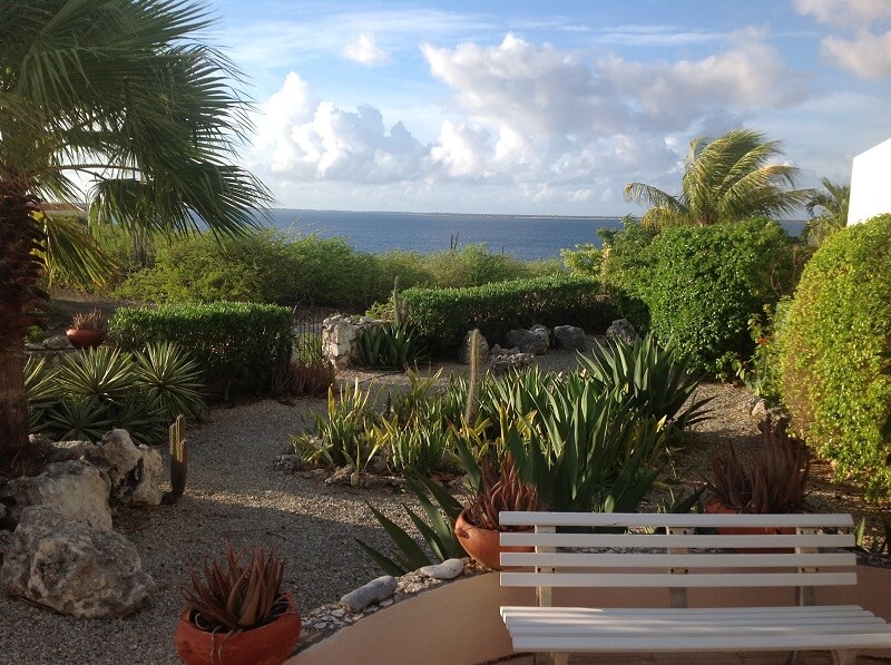 Timeless Vistas from a Desert Island