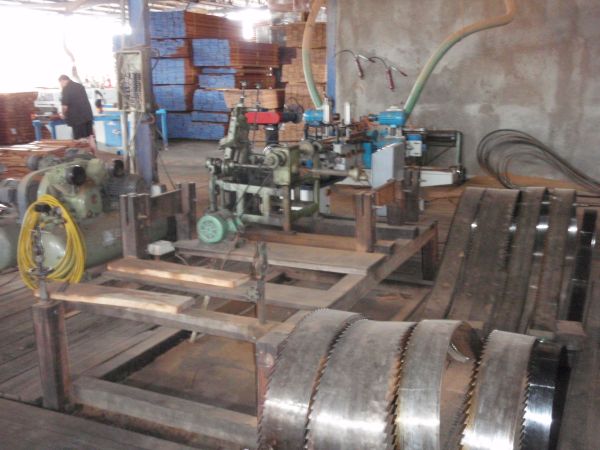 Milling Ipe Logs - ipe-saw-blades-a