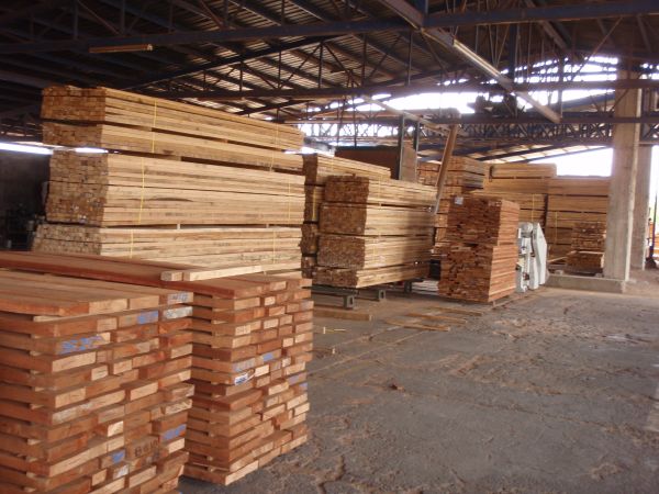 Ipe ready to leave for the USA - ipe-shed-3a