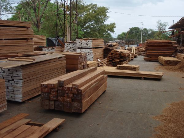 Ipe ready to leave for the USA - ipe-shed-4a